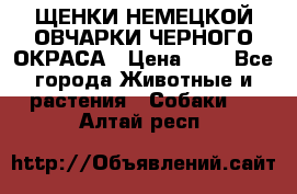 ЩЕНКИ НЕМЕЦКОЙ ОВЧАРКИ ЧЕРНОГО ОКРАСА › Цена ­ 1 - Все города Животные и растения » Собаки   . Алтай респ.